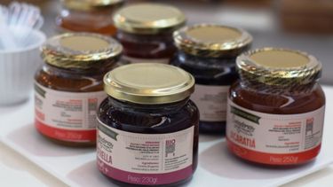 Destinan $134 millones para proyectos de agricultura familiar campesina e indígena