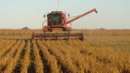 Progresa la cosecha de soja luego del cese de las lluvias