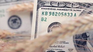 El campo presentó en el Congreso proyecto para impulsar las exportaciones