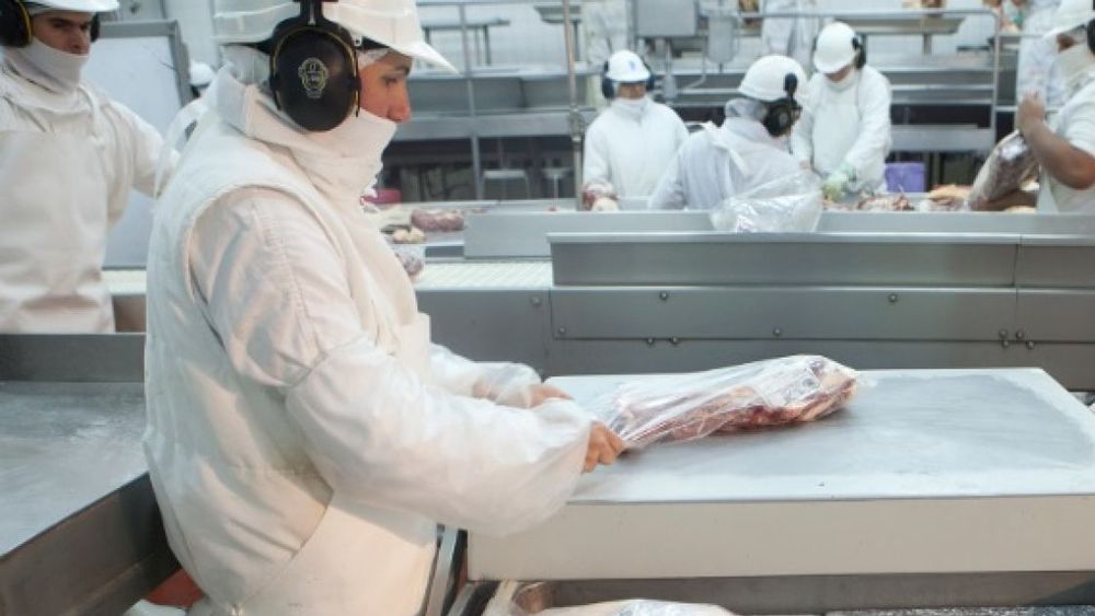 Exportaciones de alimentos y bebidas subieron más de 16% en 2019