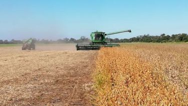 La soja tendrá su menor cosecha en 23 años a causa de la sequía