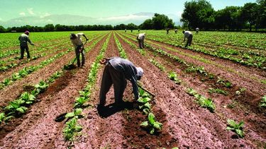 Incremento extra en la prestación por desempleo para zonas desfavorables