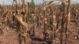 No habrá supermercado del mundo sin contener el riesgo climático