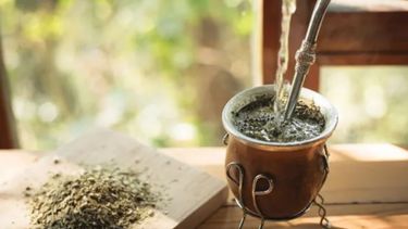 El consumo de yerba mate creció 4,5% en los primeros siete meses del año