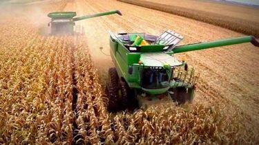 Confirman que el maíz argentino emite solo un tercio de los gases estimados