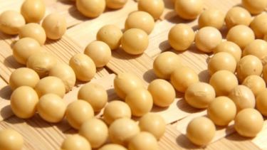 China descarta una volatilidad de precios de la soja