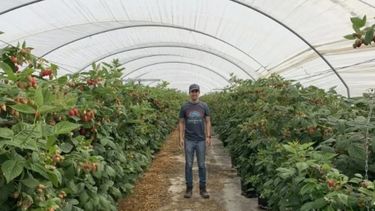 Estos argentinos tuvieron una idea millonaria que la rompe en Estados Unidos