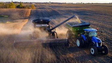 Córdoba aumentará 20% sus ingresos gracias a la producción de granos