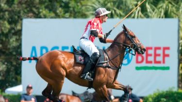 La carne argentina llega al Abierto de Polo de Estados Unidos