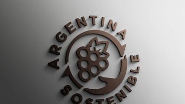 El salto de calidad en cuanto a prácticas sostenibles para la vitivinicultura argentina.