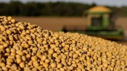 La soja cerró la semana con una suba de 7 dólares en Chicago