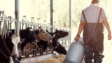 El campo pide medidas para evitar la "desaparición despiadada" de tamberos