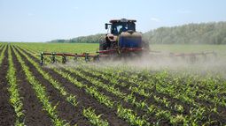 Un insumo fundamental para los productores rurales.