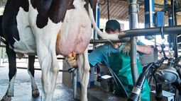 La industria láctea también sufre por la caída del consumo.