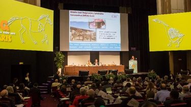 Destacan la puesta en práctica de normas de la Organización Mundial de Sanidad Animal