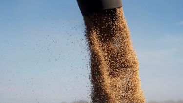 La soja tuvo otra rueda alcista y la tonelada quedó a US$ 432