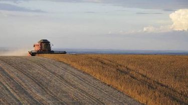 Las noticias que marcaron la agenda del agro en 2019