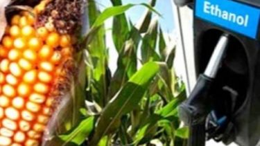 Disponen un aumento del porcentaje de bioetanol en naftas