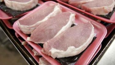 El sector porcino aumentó la productividad, las exportaciones y el consumo