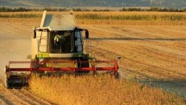 Exportaciones agrícolas impulsarán la economía argentina en 2019