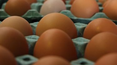 Semana del Huevo: argentinos consumen más de 274 unidades al año