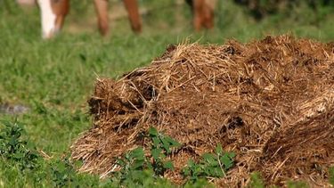 La energía puesta en la educación