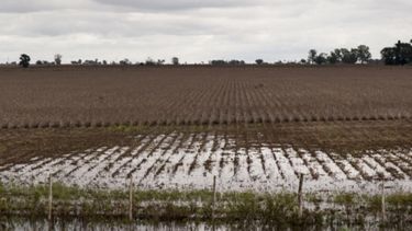 Resultados erráticos en una campaña signada por los excesos