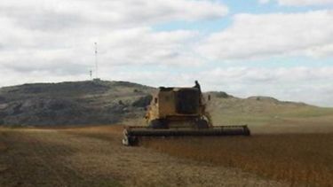 En 2017, productores alcanzarían un millón de toneladas de granos finos