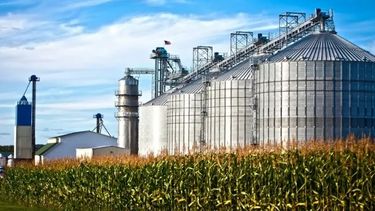 Está en juego la regulación del mercado de biocombustibles.