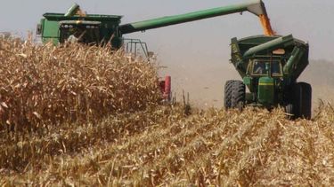 Rige el programa de asistencia a pequeños productores de soja y maíz