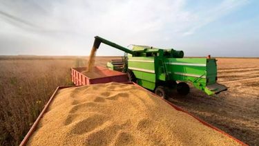 Subrayan que el campo es el principal motor del país