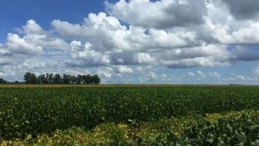 Brasil exportaría más de 70 millones de toneladas en 2018