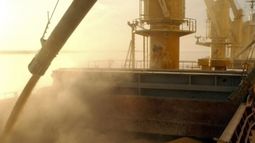 La actividad agroexportadora se achicó cerca de un 10% en 2017