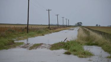 Las condiciones climáticas que afectan a los campos.