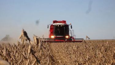 Productores explicaron que las retenciones no sirven para bajar los precios