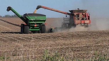 USDA recortó la estimación sobre la soja argentina