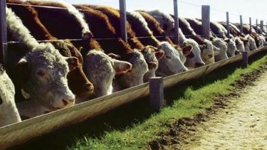 Desarrollan una tecnología low cost para producir energía en el campo