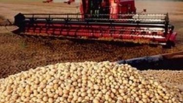 La cosecha de soja habría llegado a las 54,5 millones de toneladas