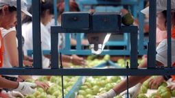 Trabajadores rurales cerraron paritarias