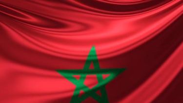 Argentina llega al mercado marroquí de semen, embriones y reproductores bovinos