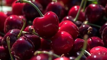 Se concretó la primera venta aérea de cerezas a China