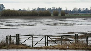 Admiten que condiciones climáticas ponen en riesgo la cosecha récord