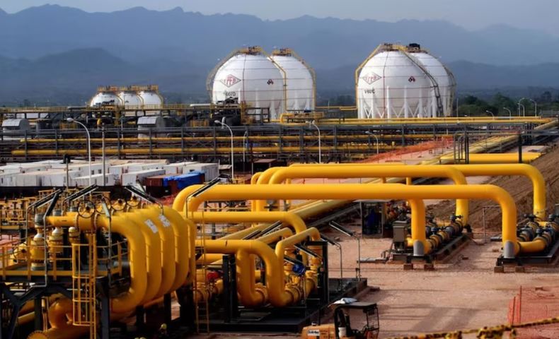 El rol de Vaca Muerta en la provisión energética.