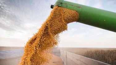 La soja subió y quedó cerca de los 394 dólares en Chicago
