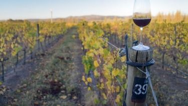 La Secretaría de Agricultura, el Ministerio de Turismo, BICE Fideicomisos, y la Coviar pusieron en marcha el Fondo para el Desarrollo del Enoturismo.