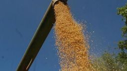 Tucumán litiga en contra de la eliminación del Fondo Sojero