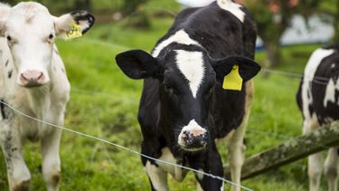 Cómo manejar la información de tu hacienda.