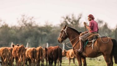 Trabajadores rurales lograron un ajuste salarial mayor al 20%