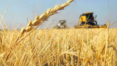 Podrían perderse US$ 3.300 millones en exportaciones agropecuarias