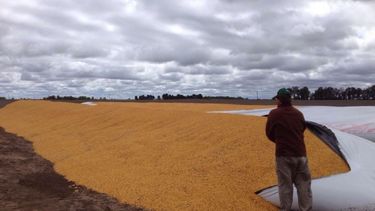 SRA elaboró una guía para facilitar las denuncias de delitos rurales